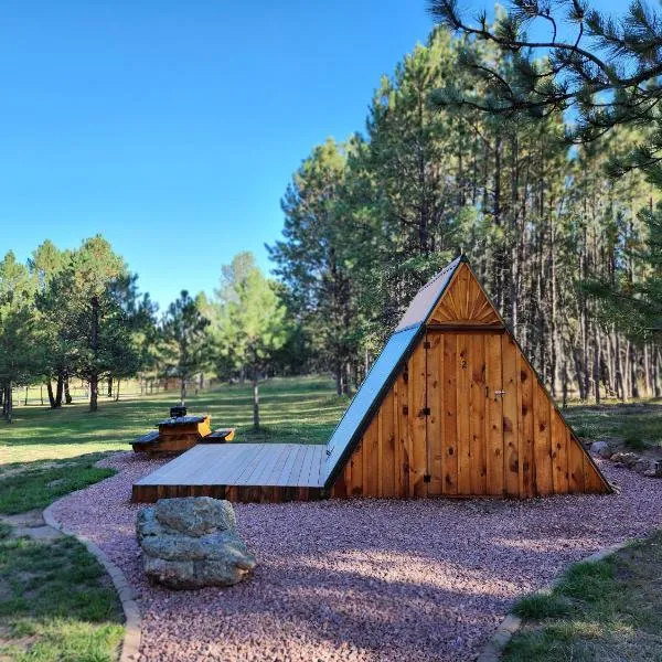Dakota Dream Cabins，位于卡斯特的酒店