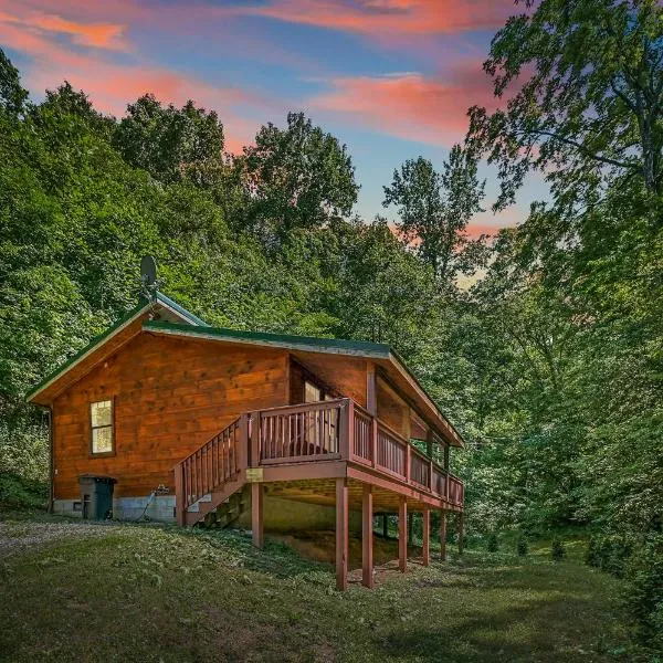 Smoky Mountains Hut Tub Cabin Dog Friendly，位于赛维尔维尔的酒店