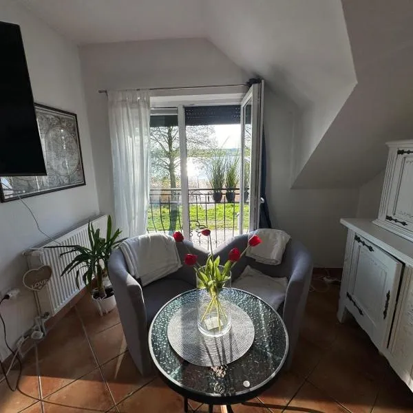 Apartament nad jeziorem w Charzykowach，位于哈日科维的酒店