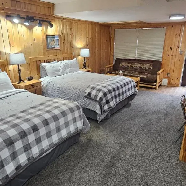 威拉德芒格汽车旅馆，位于德卢斯的酒店