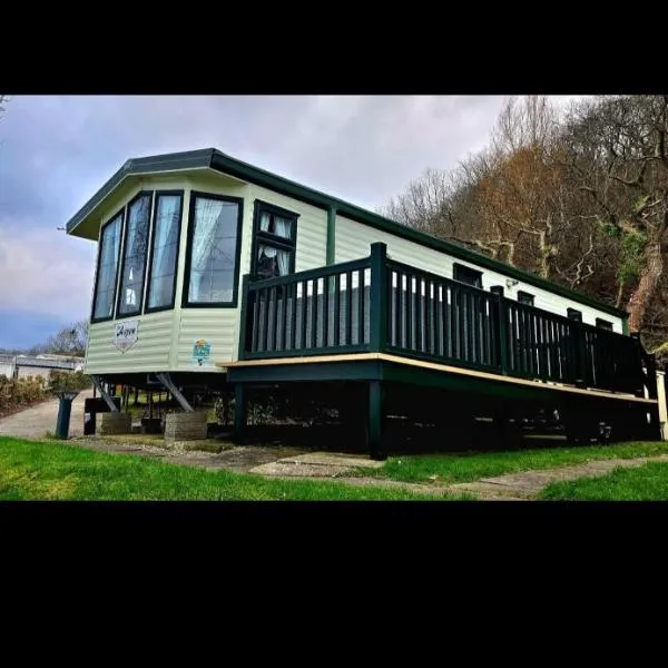 8 Birth Caravan Quay West Sea Views，位于新码头的酒店