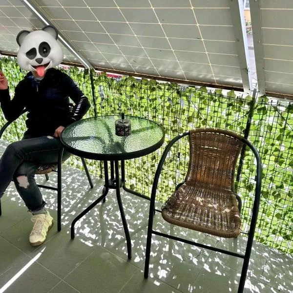 Garsoniera，位于Dorohoi的酒店