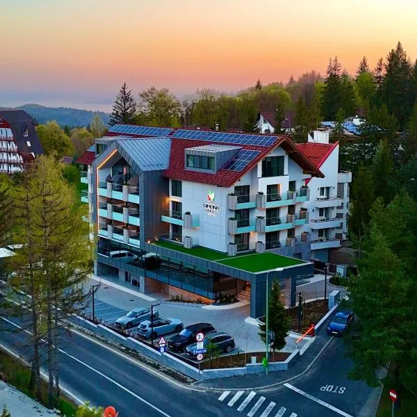 Hotel Simona Halep - Poiana Brasov，位于波亚纳布拉索夫的酒店