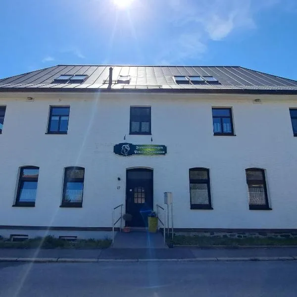 Reiterhof & Pension Lienemann，位于Grünbach的酒店
