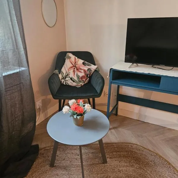 Charmant studio près du pont avignon，位于阿维尼翁的酒店