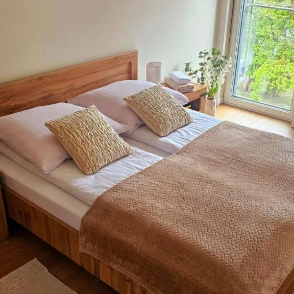 Apartament na Kolarskiej，位于马佐夫舍地区奥斯特鲁夫的酒店