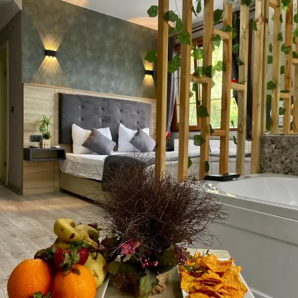 AYDER PUGARİ OTEL & River Suite，位于Ardeşen的酒店
