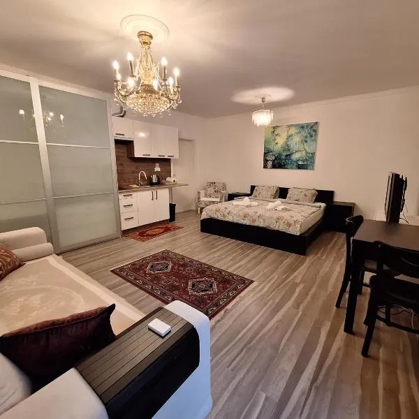 Studio Near Prague Airport，位于Kněžívka的酒店