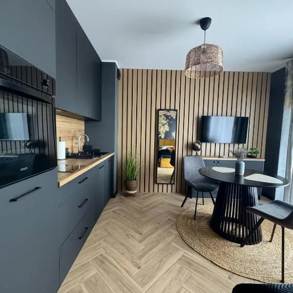 Travel Apartament Płock，位于Skorka的酒店