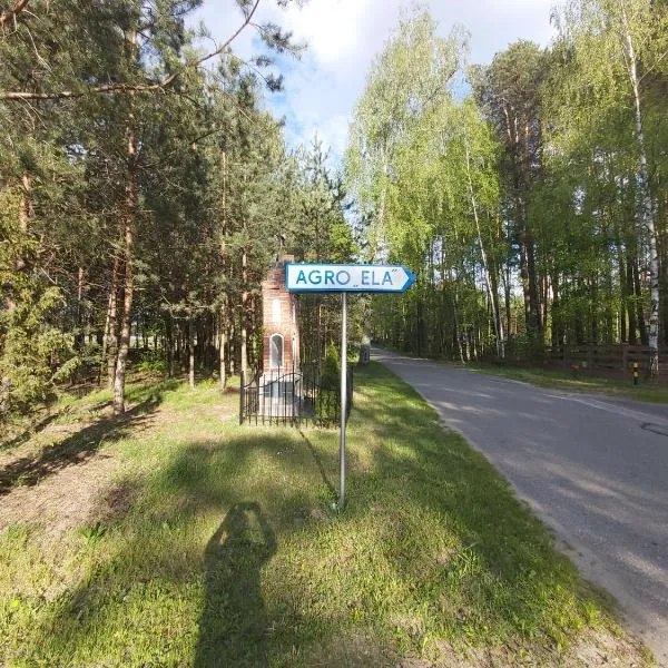 Noclegi Kurpie, Pokoje Gościnne, Wyżywienie, Catering, AGRO ELA，位于Myszyniec的酒店