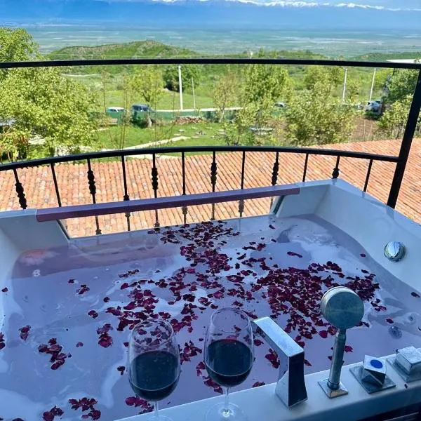 Villaggio Mirzaani Resort，位于西格纳吉的酒店