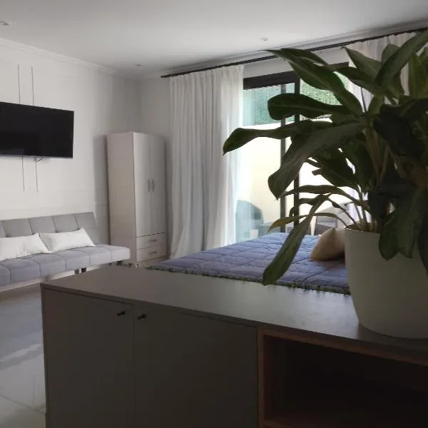 Departamento monoambiente "Pellegrini' en el centro，位于瓜莱瓜伊丘的酒店