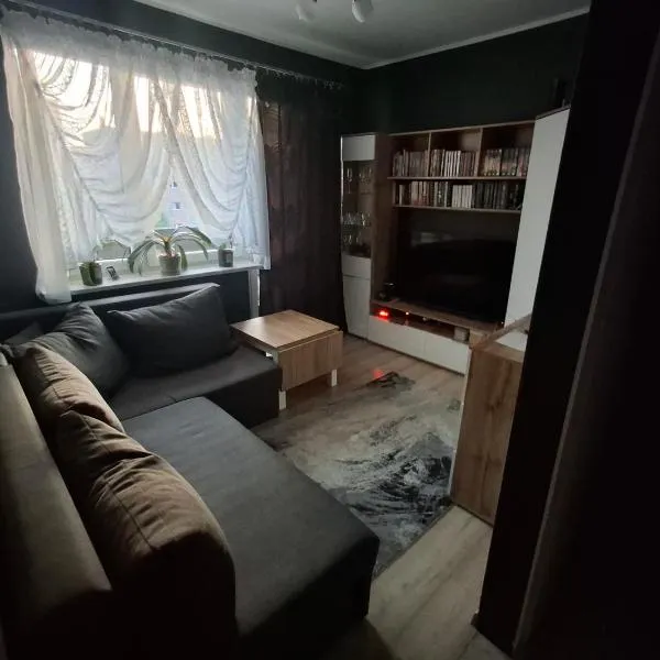 Apartament Przydworcowe，位于斯卡日斯科-卡缅纳的酒店
