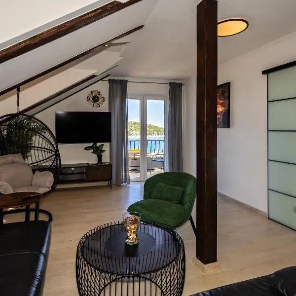 Renovated Apartments Skorin，位于罗戈兹尼察的酒店