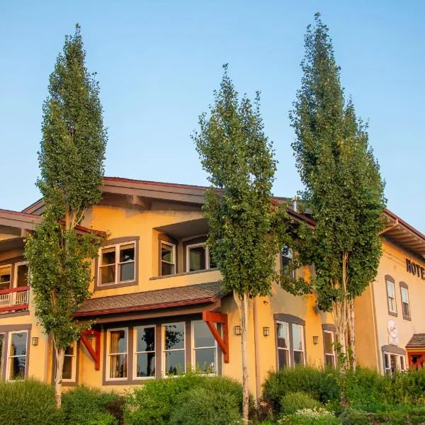 Hotel McCall，位于麦考尔的酒店