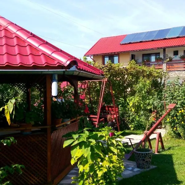 Pensiunea Dana，位于Oteşani的酒店