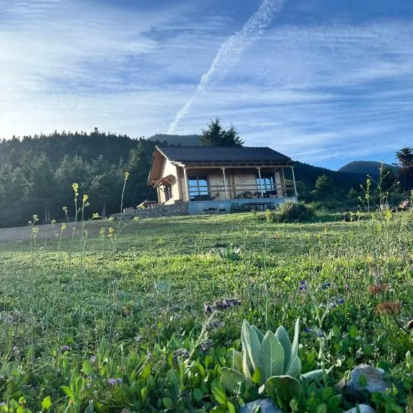 The Farmhouse，位于维蒂纳的酒店