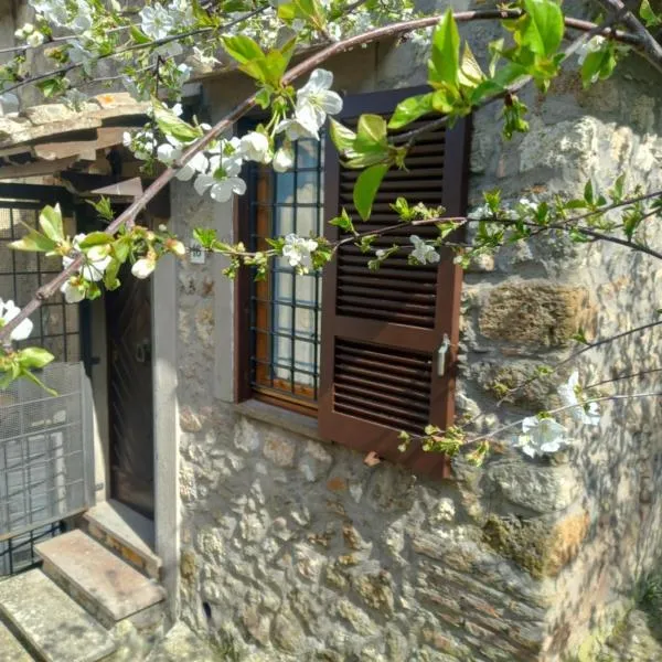 Autenticum Agriturismo Tolfa，位于托尔法的酒店