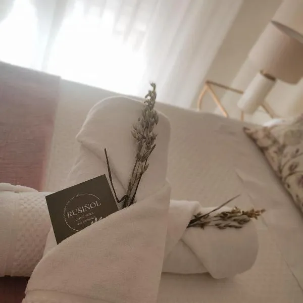 Rusiñol，位于孔苏埃格拉的酒店