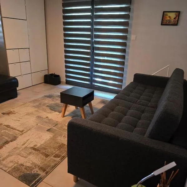Studio in a townhouse，位于安锡的酒店