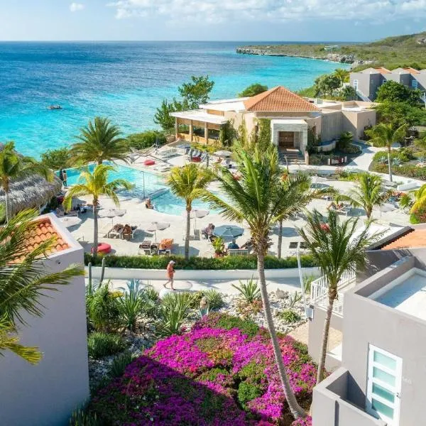 Coral Estate Luxury Resort，位于威利布罗德的酒店