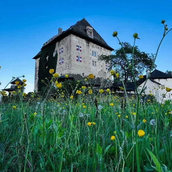 Schloss Moosburg Gästehaus，位于莫斯堡的酒店