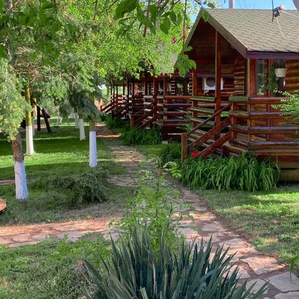 Salcia Pletoasa，位于马赫穆迪亚的酒店