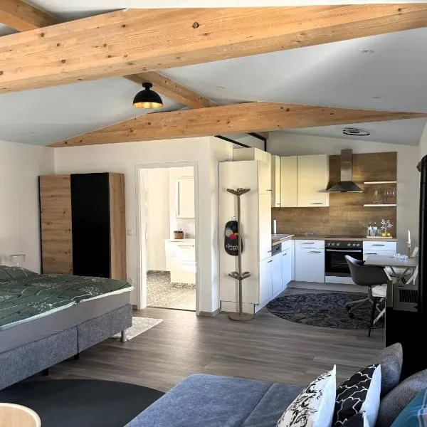 Apartment zur Schnapsstraße，位于Ybbsitz的酒店