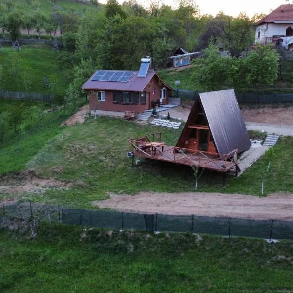 Cicanesti Mountain Retreat，位于Bărăşti的酒店