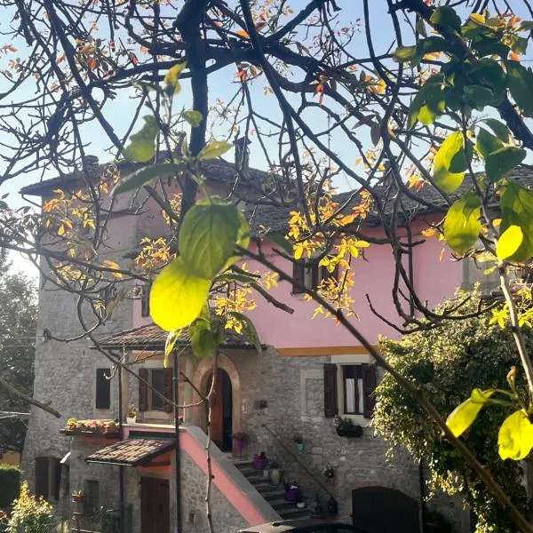 B&B Camelia，位于Camugnano的酒店