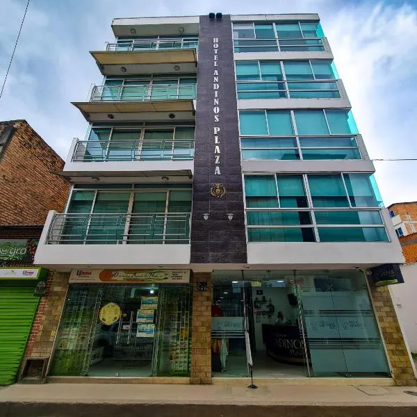 Hotel Andinos Plaza Pitalito，位于皮塔利托的酒店