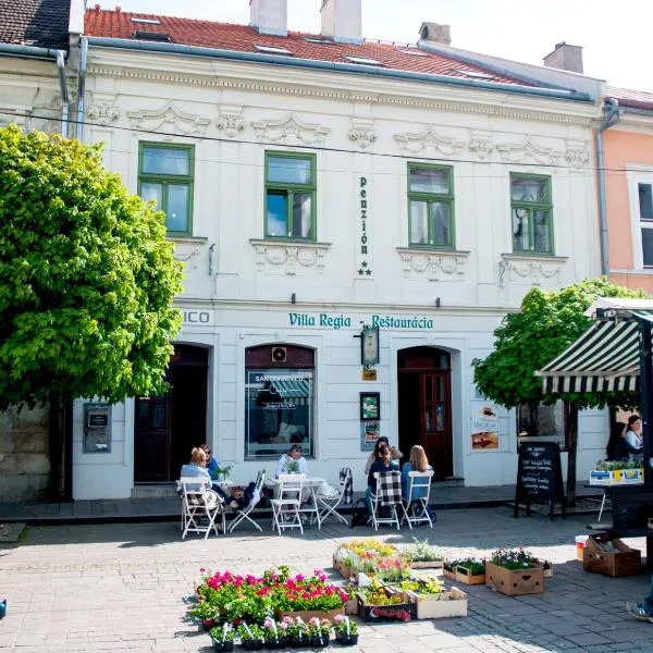 Villa Regia，位于科希策的酒店
