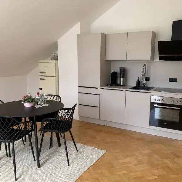 Apartment im Herrenfeld，位于弗罗伊登施塔特的酒店