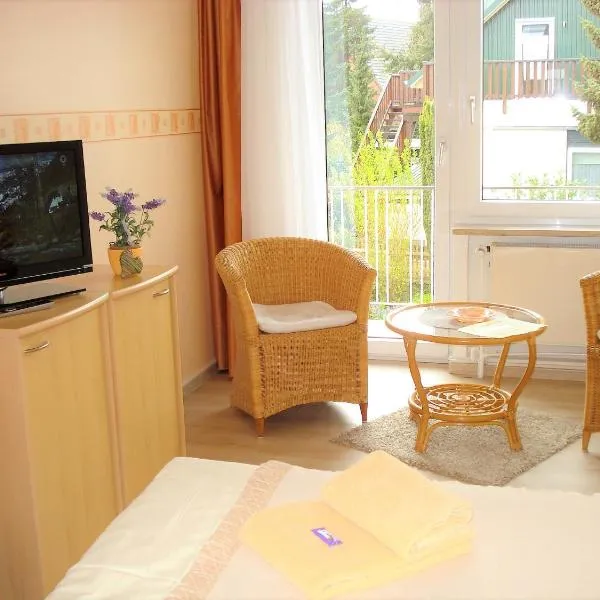 Pension Hermer，位于格洛米茨的酒店