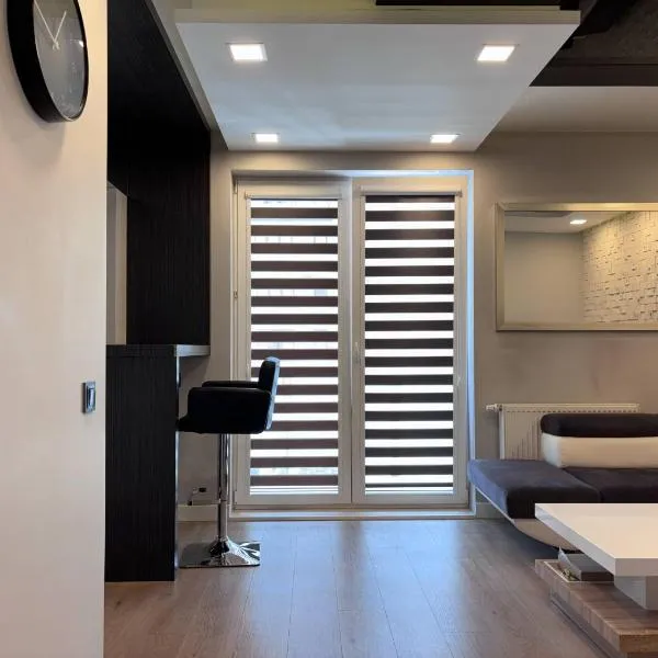 Apartament Browarna ! Parking 24h free, Netflix free Quick check-in，位于马佐夫舍地区托马舒夫的酒店