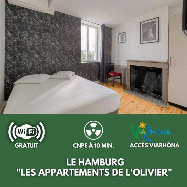 Le Hamburg - Les appartements de l'olivier，位于Loyettes的酒店