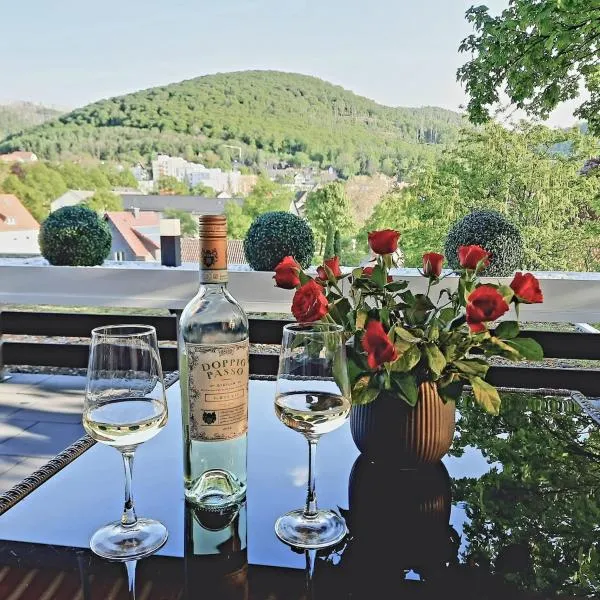 Bergliebe 5 mit großer Terrasse, Tiefgarage & Lift，位于巴特哈尔茨堡的酒店