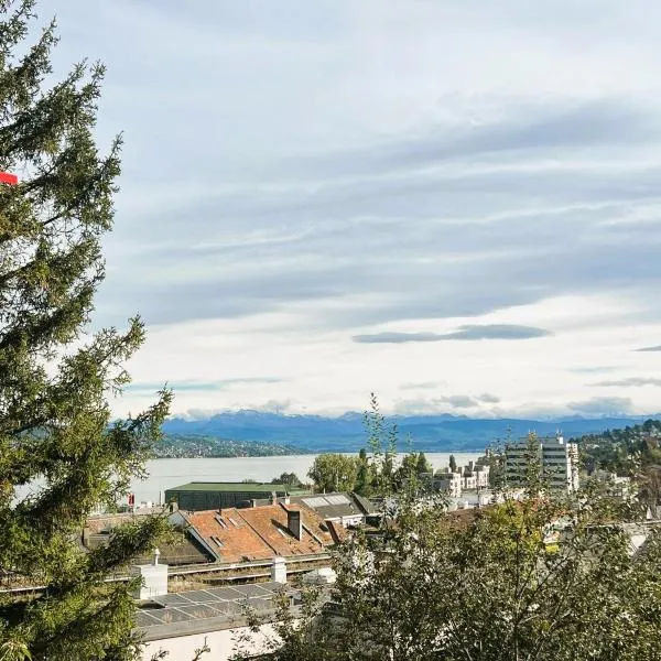Large Flats, Zurich Lake HWA - Self Checkin，位于苏黎世的酒店