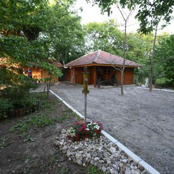 Koliba Dimitrijević，位于彼得罗瓦茨纳米拉维的酒店