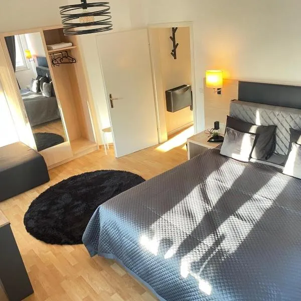 Junges Appartement，位于魏克尔斯海姆的酒店