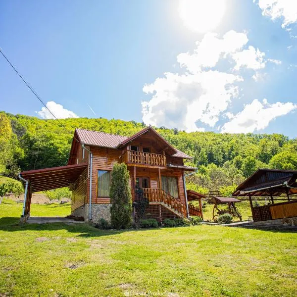 Casa de Vacanta Hanes，位于Pianu de Sus的酒店