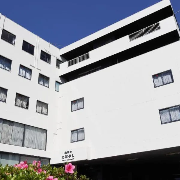 ホテル こばやし，位于鹿屋市的酒店