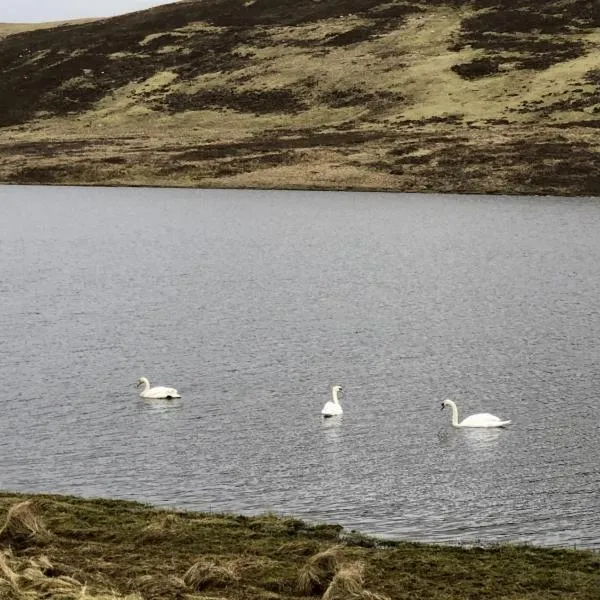 Scalloway Caravan Park，位于Scalloway的酒店