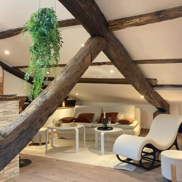 Loft Unique Romantique & Balnéothérapie，位于里永的酒店