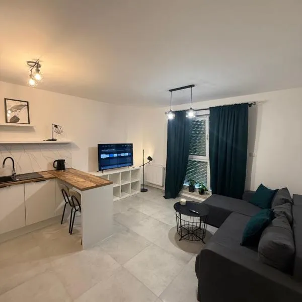 LOFT APARTAMENT I Kępno，位于肯普诺的酒店
