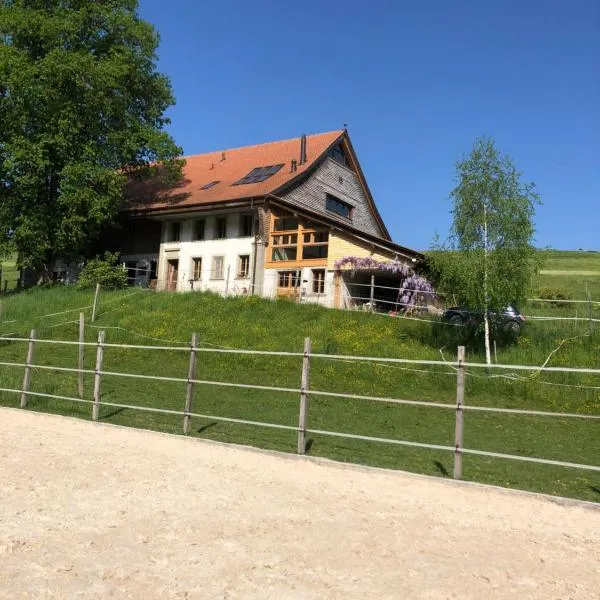 Sérénité et Nature dans une ferme équestre - loft lumineux de 140m2，位于Massonnens的酒店