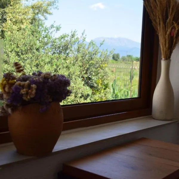 Rustic Tale Guesthouse，位于Tale的酒店