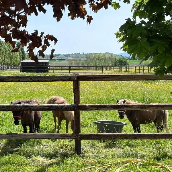 Le petit paddock，位于Villeneuve-lès-Cerfs的酒店