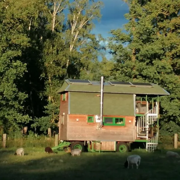 Weidmannsruh Natur pur - exklusives Tiny house，位于Frauendorf的酒店