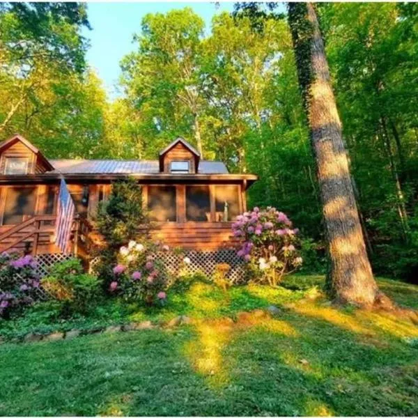 The Mountain Forager Cabin, Bryson City NC，位于布赖森城的酒店